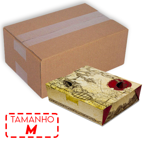 Imagem ilustrativa: COMBINADO DE SUSHI | M | NEW ORIGAMI | CAIXA: 650UNDS