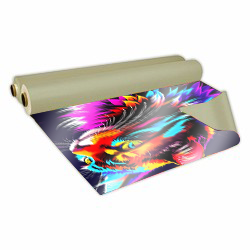 Imagem ilustrativa: Lona Canvas Sem Acabamento | Brilho