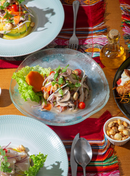 🟤 Plano Básico - gestor de redes socias